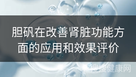 胆矾在改善肾脏功能方面的应用和效果评价