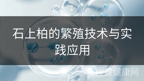 石上柏的繁殖技术与实践应用