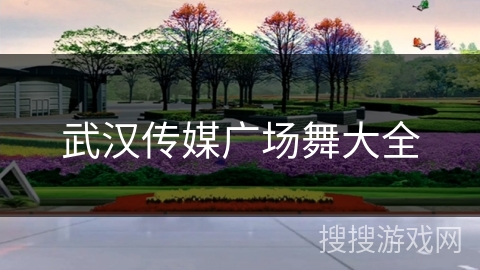 武汉传媒广场舞大全