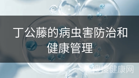 丁公藤的病虫害防治和健康管理