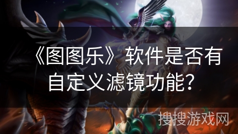 《图图乐》软件是否有自定义滤镜功能？