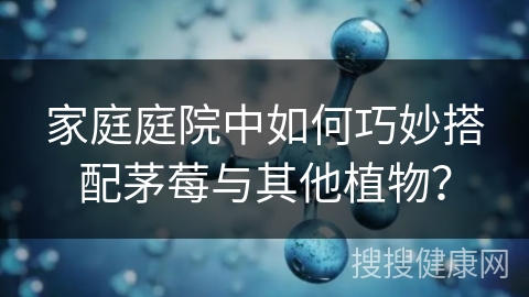 家庭庭院中如何巧妙搭配茅莓与其他植物？