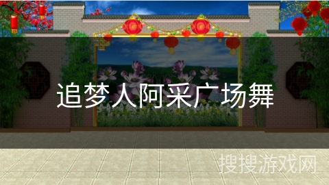 追梦人阿采广场舞 追梦人阿采广场舞