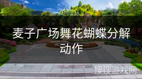 麦子广场舞花蝴蝶分解动作