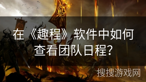 在《趣程》软件中如何查看团队日程？