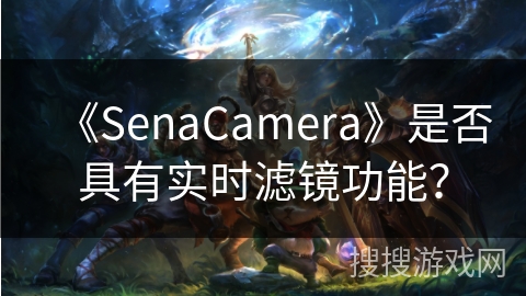 《SenaCamera》是否具有实时滤镜功能？