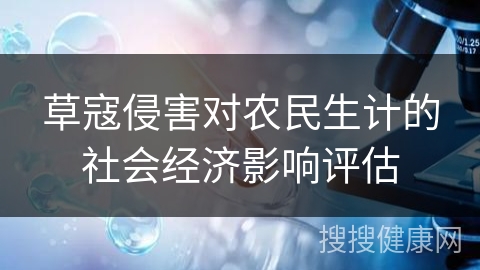 草寇侵害对农民生计的社会经济影响评估