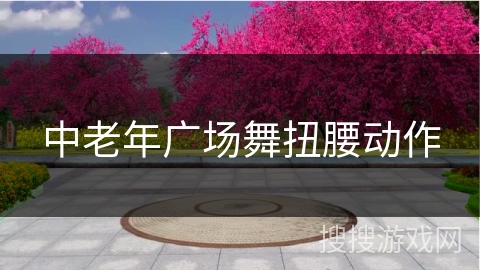 中老年广场舞扭腰动作