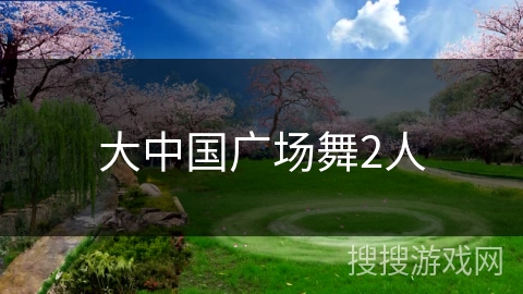 大中国广场舞2人