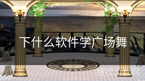 下什么软件学广场舞