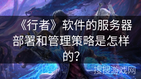《行者》软件的服务器部署和管理策略是怎样的？