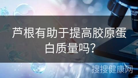 芦根有助于提高胶原蛋白质量吗？