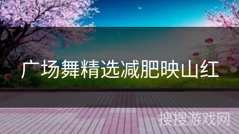 广场舞精选减肥映山红