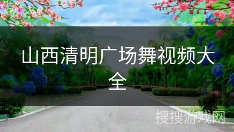 山西清明广场舞视频大全