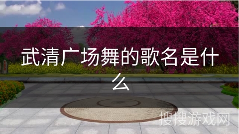 武清广场舞的歌名是什么