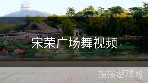 宋荣广场舞视频