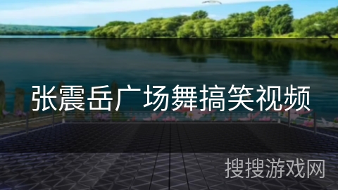 张震岳广场舞搞笑视频