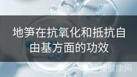 地笋在抗氧化和抵抗自由基方面的功效