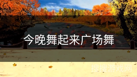 今晚舞起来广场舞