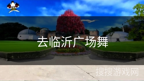 去临沂广场舞