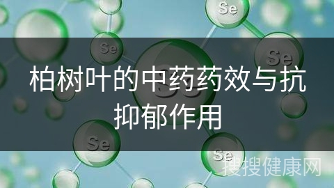 柏树叶的中药药效与抗抑郁作用