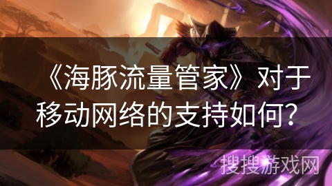 《海豚流量管家》对于移动网络的支持如何？