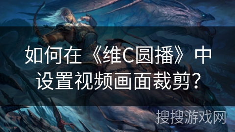如何在《维C圆播》中设置视频画面裁剪？