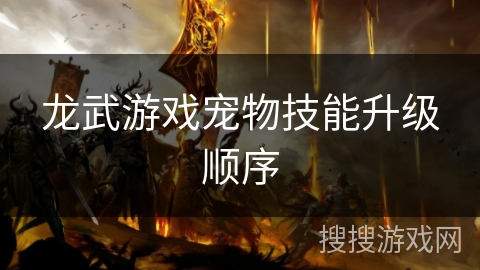 龙武游戏宠物技能升级顺序