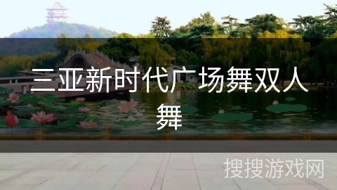 三亚新时代广场舞双人舞