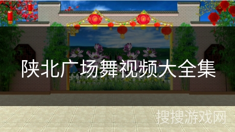 陕北广场舞视频大全集