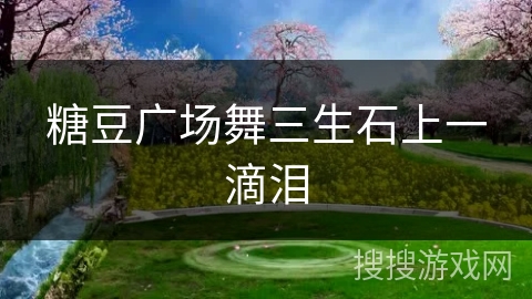 糖豆广场舞三生石上一滴泪