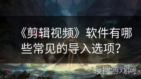 《剪辑视频》软件有哪些常见的导入选项？