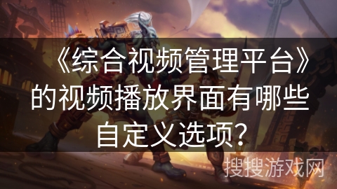 《综合视频管理平台》的视频播放界面有哪些自定义选项？