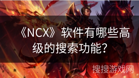 《NCX》软件有哪些高级的搜索功能？