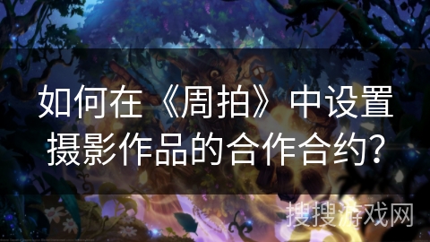 如何在《周拍》中设置摄影作品的合作合约？