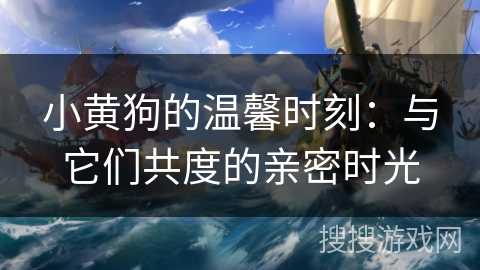 小黄狗的温馨时刻：与它们共度的亲密时光