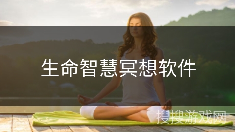 生命智慧冥想软件