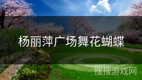 杨丽萍广场舞花蝴蝶