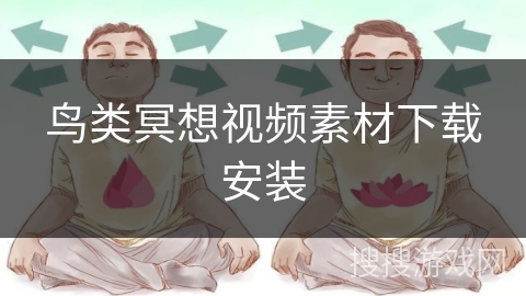 鸟类冥想视频素材下载安装