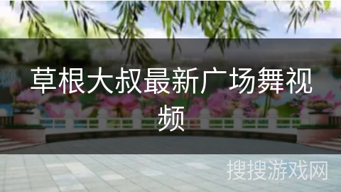 草根大叔最新广场舞视频