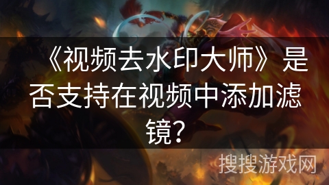 《视频去水印大师》是否支持在视频中添加滤镜? 《视频去水印大师》是否支持在视频中添加滤镜?