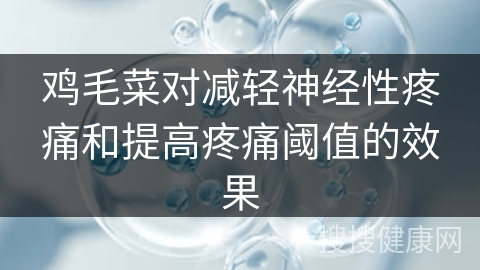 鸡毛菜对减轻神经性疼痛和提高疼痛阈值的效果