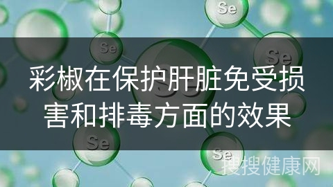 彩椒在保护肝脏免受损害和排毒方面的效果