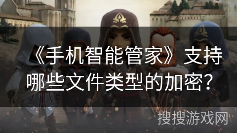 《手机智能管家》支持哪些文件类型的加密？