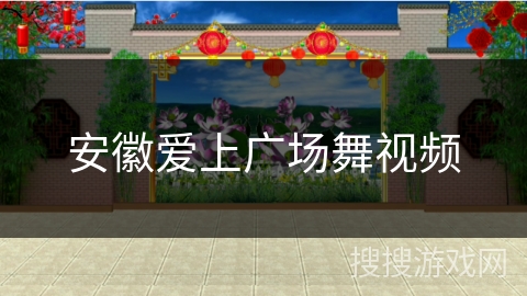 安徽爱上广场舞视频