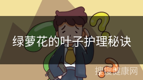 绿萝花的叶子护理秘诀