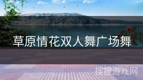 草原情花双人舞广场舞