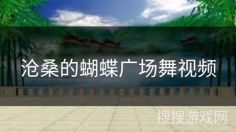 沧桑的蝴蝶广场舞视频