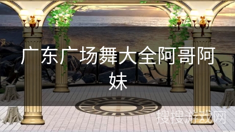 广东广场舞大全阿哥阿妹