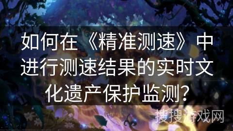 如何在《精准测速》中进行测速结果的实时文化遗产保护监测？